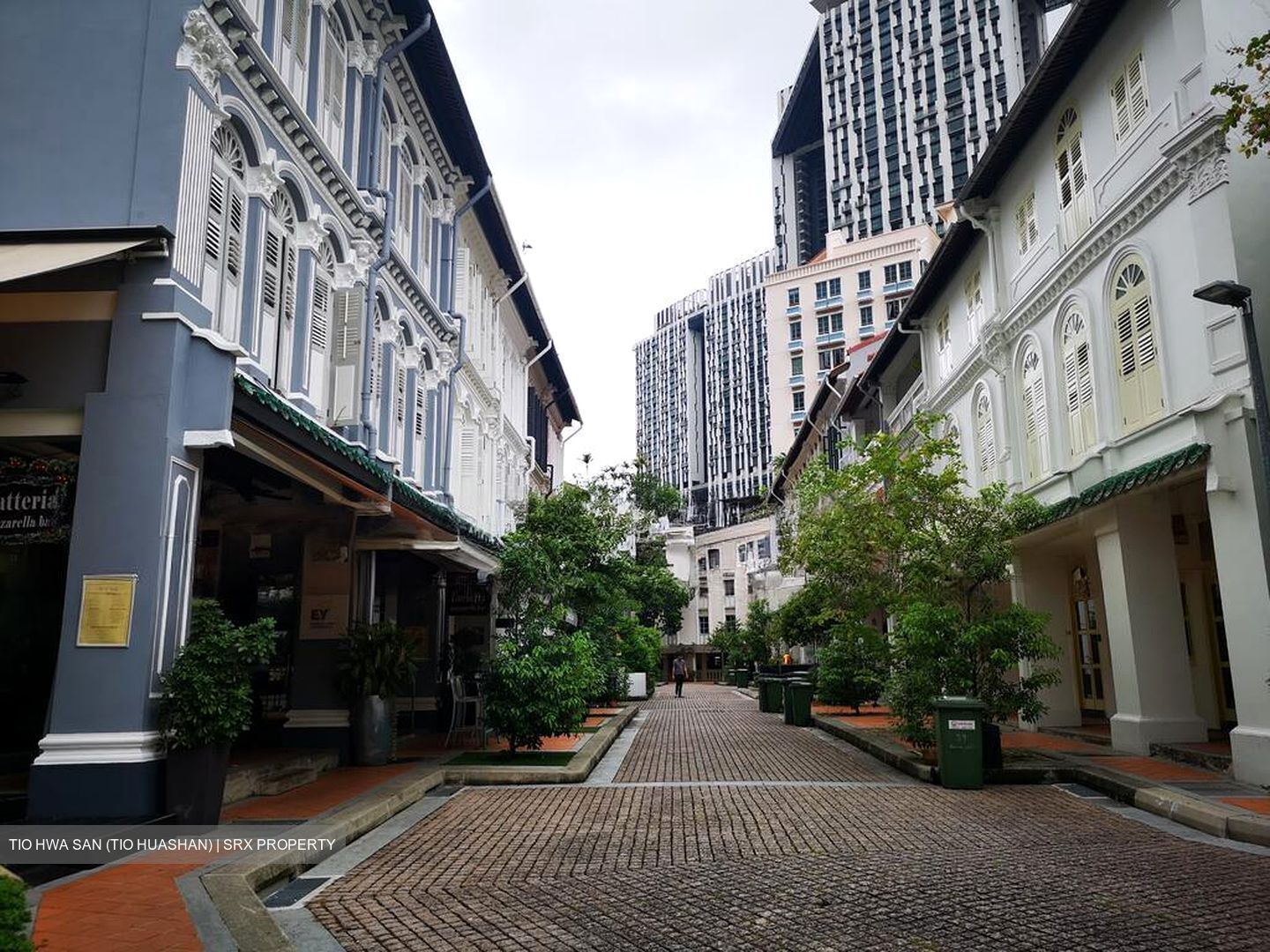 Tanjong Pagar Conservation Area (D2), Shop House #521842101